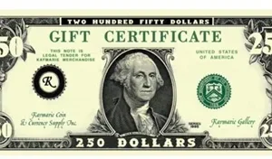 Gift Certificate $250 Gift Card for Use on Any of our Products or Services